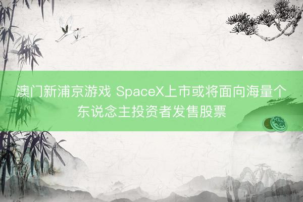 澳门新浦京游戏 SpaceX上市或将面向海量个东说念主投资者发售股票