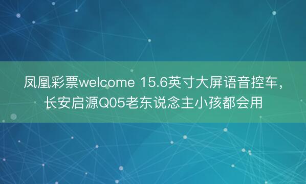凤凰彩票welcome 15.6英寸大屏语音控车,长安启源Q05老东说念主小孩都会用