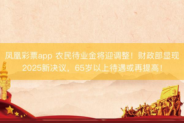 凤凰彩票app 农民待业金将迎调整！财政部显现2025新决议，65岁以上待遇或再提高！